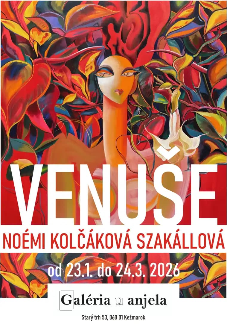 Noemi pozvánka 2026