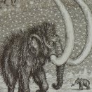 "Zverokruh" - mamut