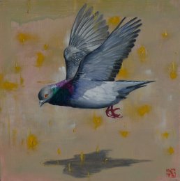 Robert Bielik - Svätý holub