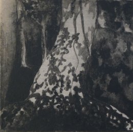 Jana Čepa - V ornamentoch tieňa